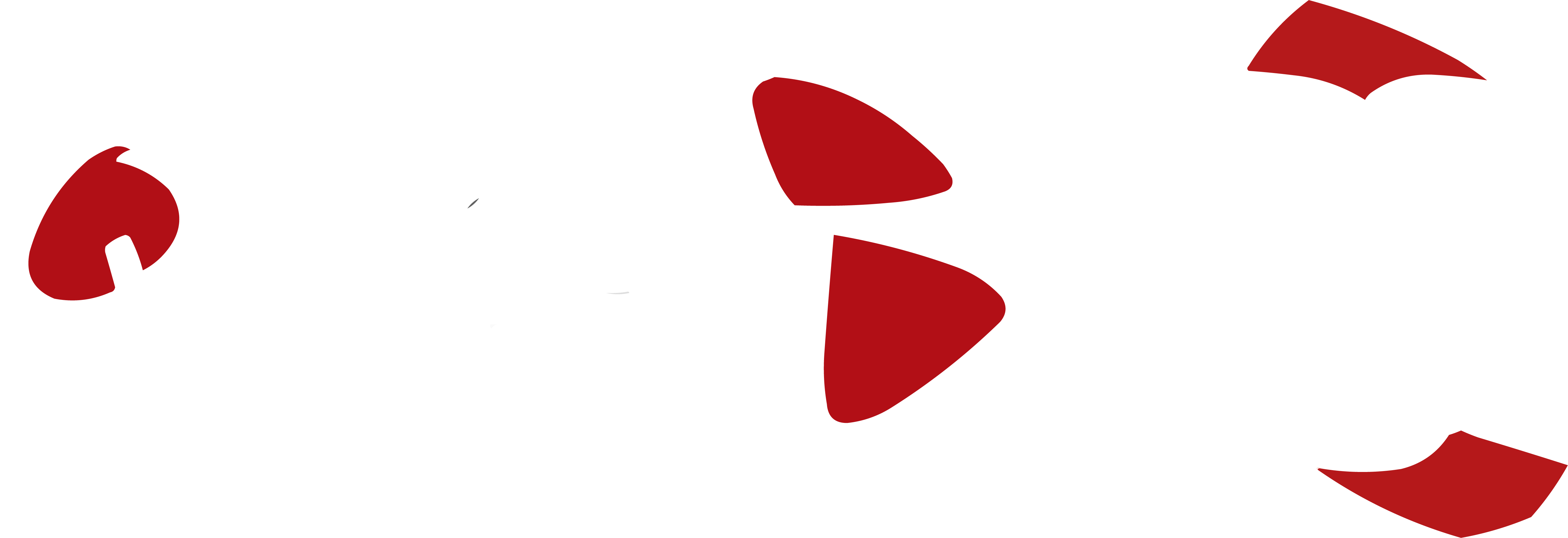 QueBici
